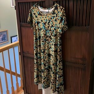 LulaRoe dress.